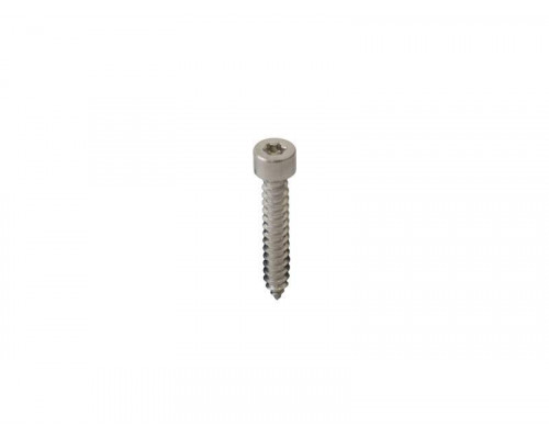 Саморез стальной ALUMARK А2 TХ25 5.5х55мм 100шт